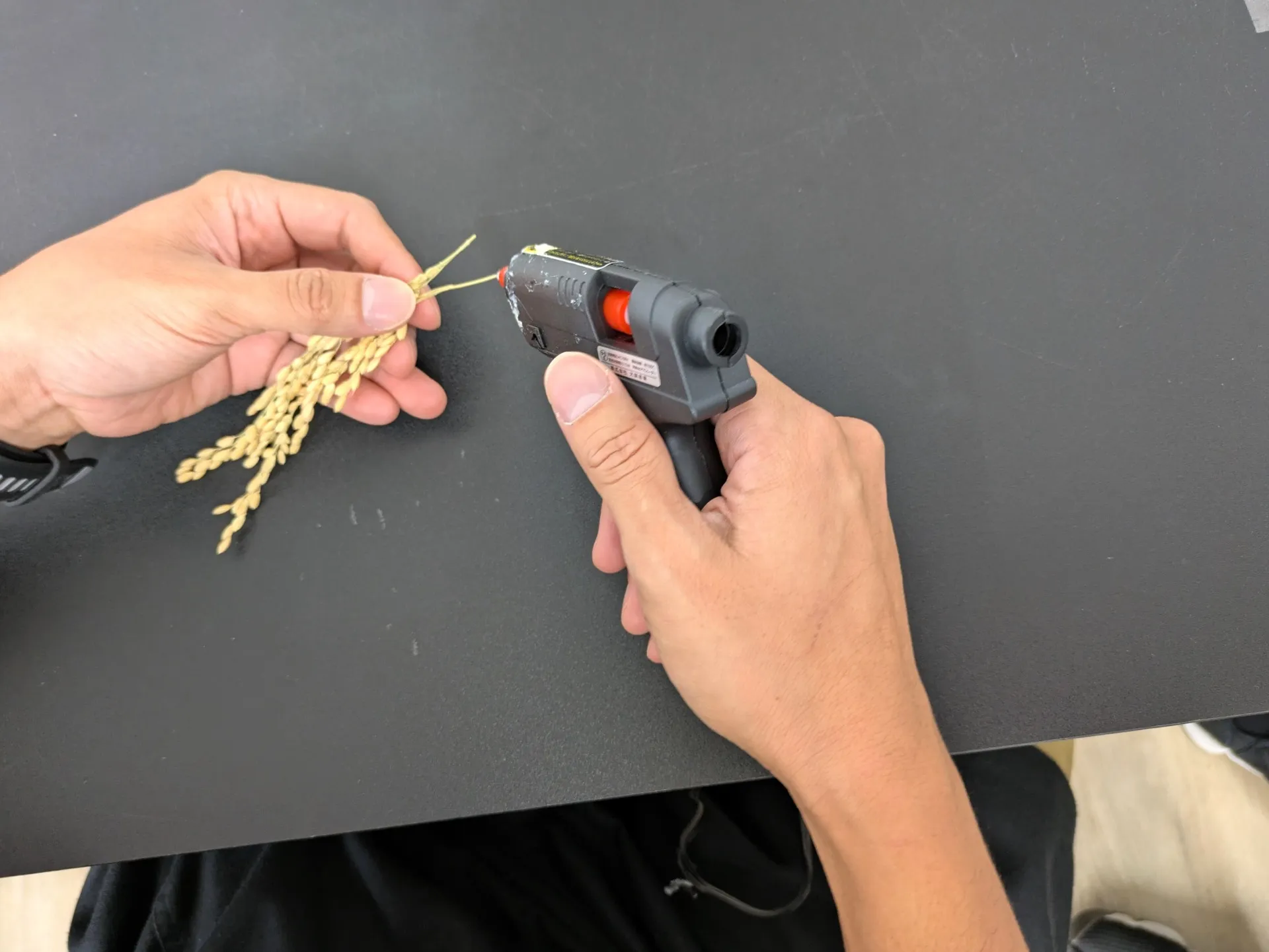 ほっこりーな博多